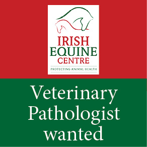 irish equine centre oct 2025