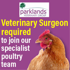 parklands december 2025