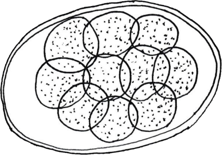 fig1 july2020