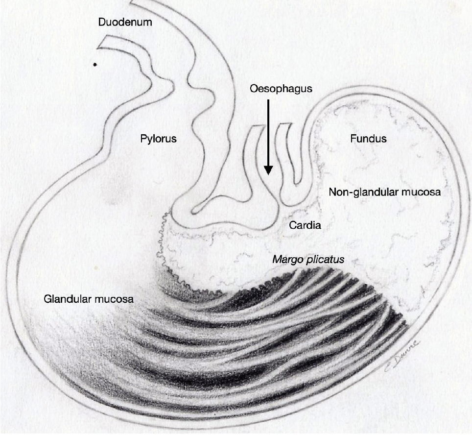 fig1