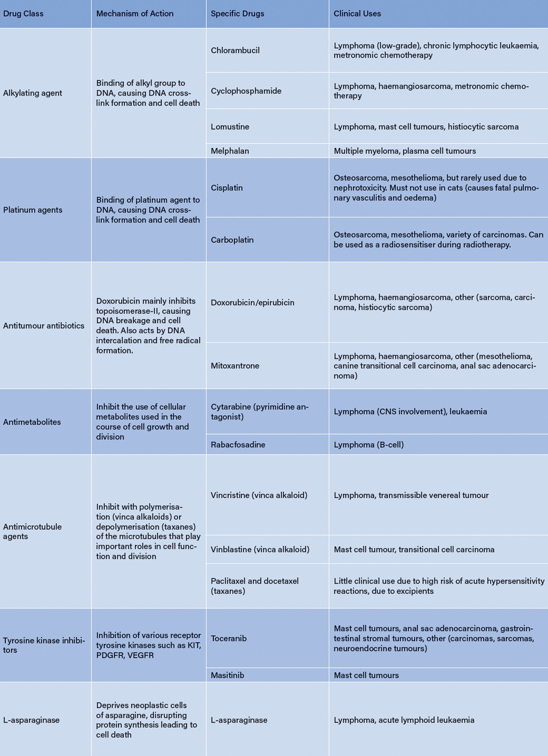 Chemotherapy in Small Animal Oncology
