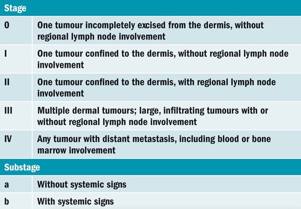 Dog mast cell tumor holistic treatment deals